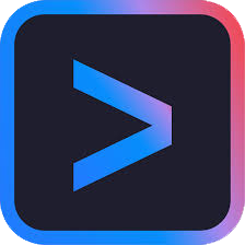 Gemini CLI